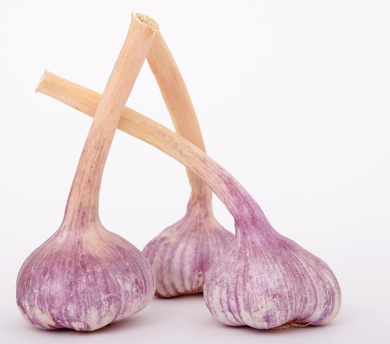 Culinary Ingredients