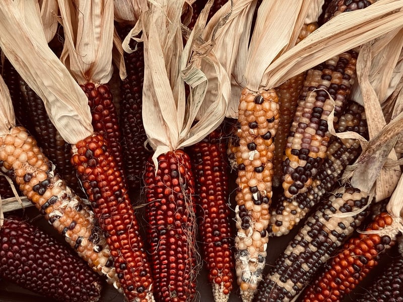 Diverse Ingredients